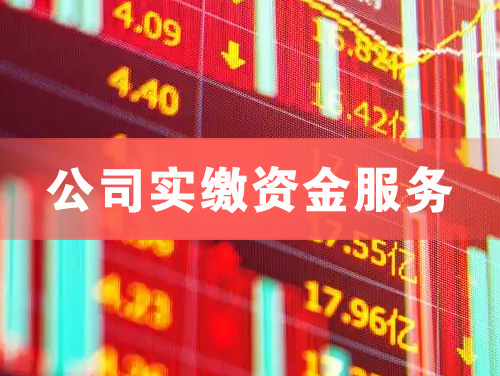 什邡公司实缴资金服务